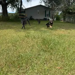 Sniffspot Yolistone Image