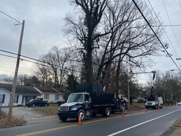 Images God's Way Tree Service