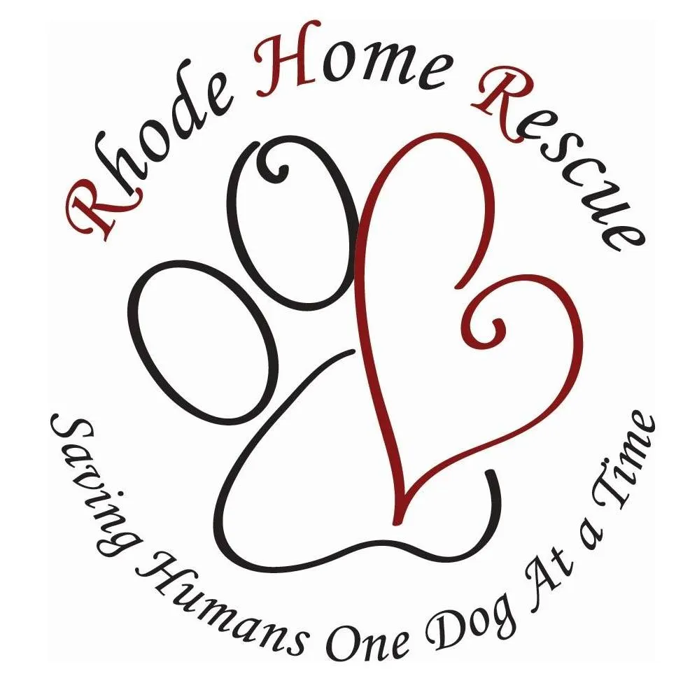 Image of Local Pet Event Rhode Home Rescue Nearby