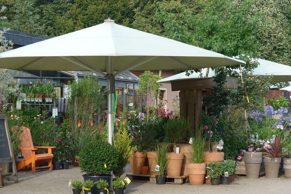 Bilder GartenBaumschule Schneider
