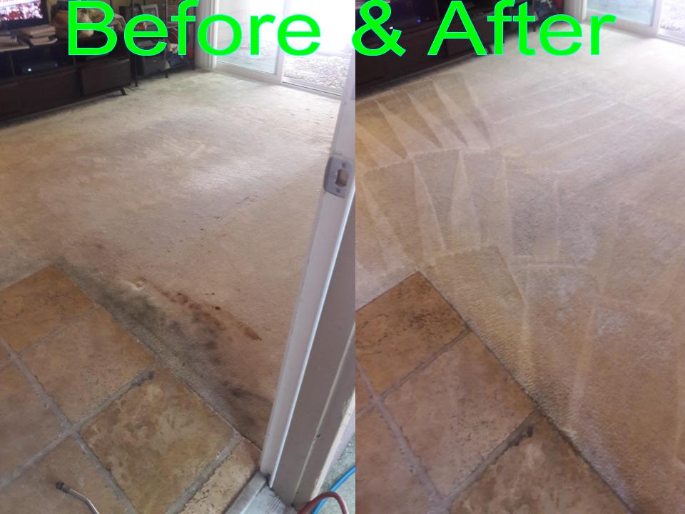 Able Body Carpet & Restoration Photo