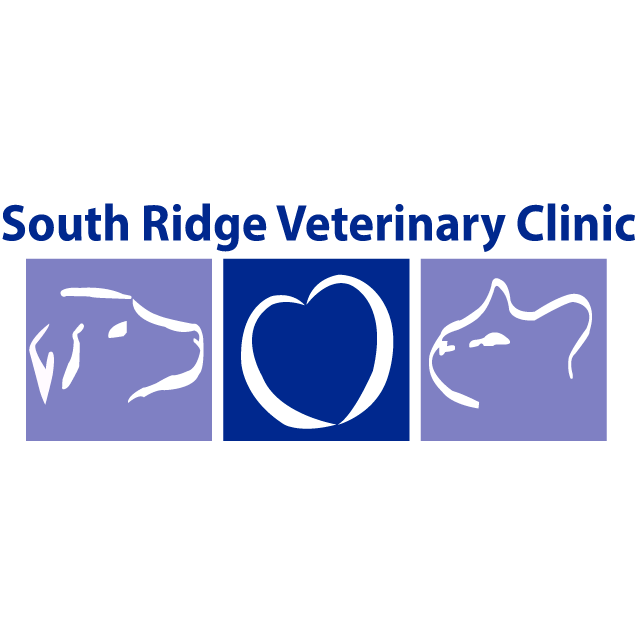 South Ridge Veterinary Clinic