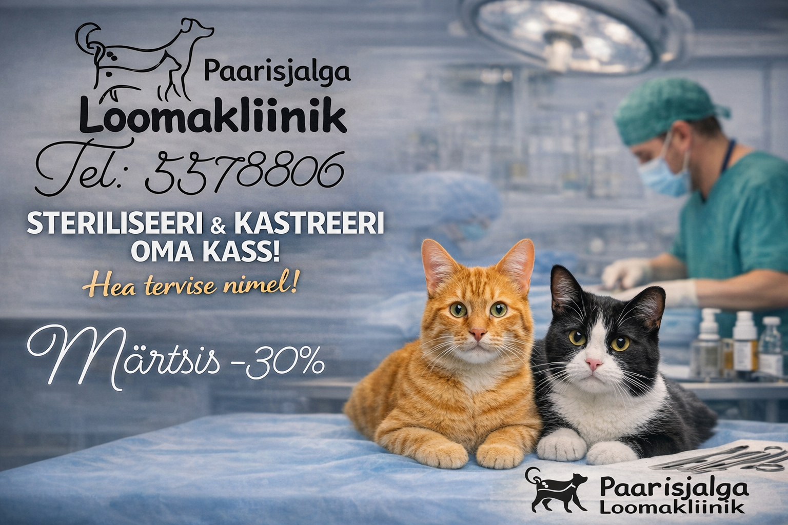 🐾 Märtsikuu eripakkumine Paarisjalga Loomakliinikus 🐱