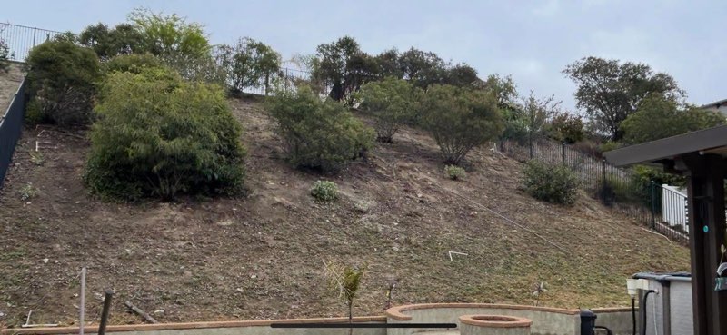 Images Palacios Landscaping