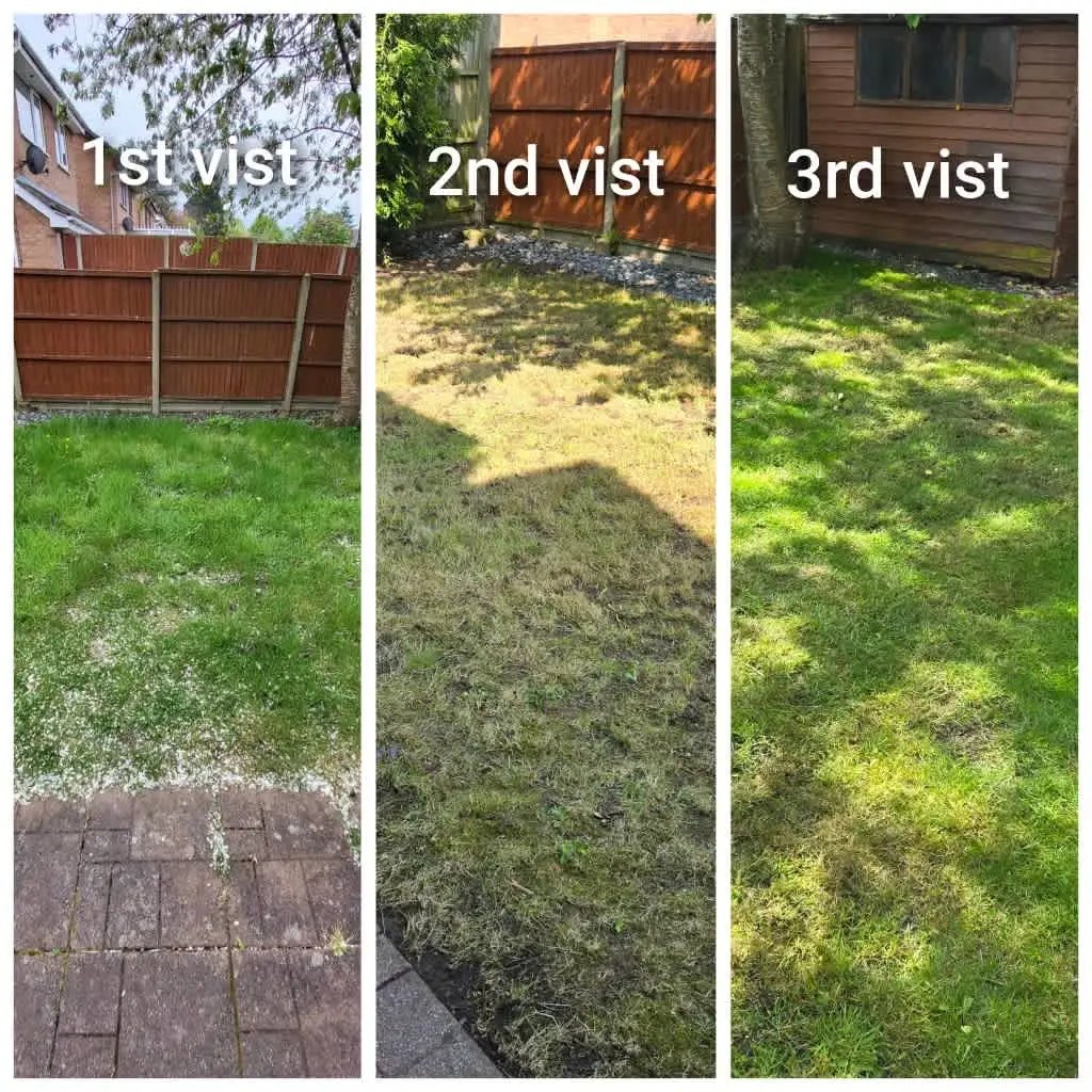 Images J & T Landscaping Ltd