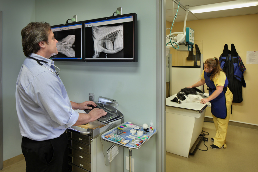Calusa Veterinary Center is equipped with digital radiography, allowing our veterinarians in Boca Ra Calusa Veterinary Center Boca Raton (561)999-3000