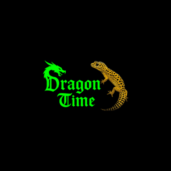 Logo von Dragon Time