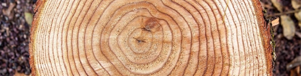 Beratungsbüro Älter werden, Burgeffstraße 30 in Hochheim am Main