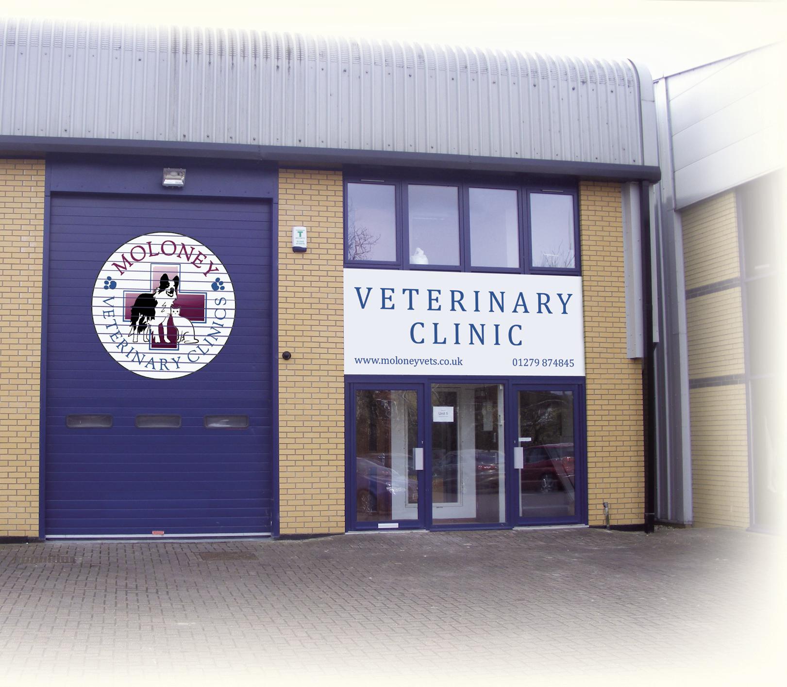 Images Moloney Veterinary Clinics, Takeley Branch