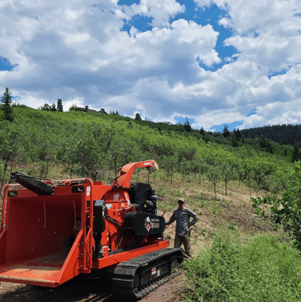 Images Alpine Forestry