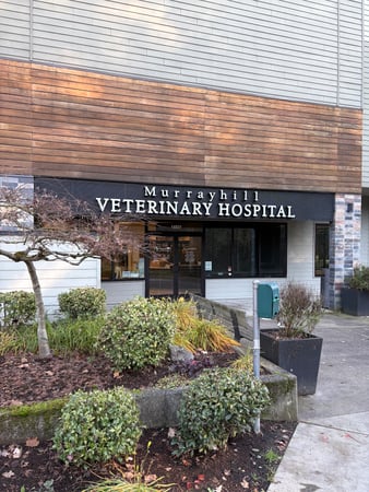 Images VCA Murrayhill Veterinary Hospital