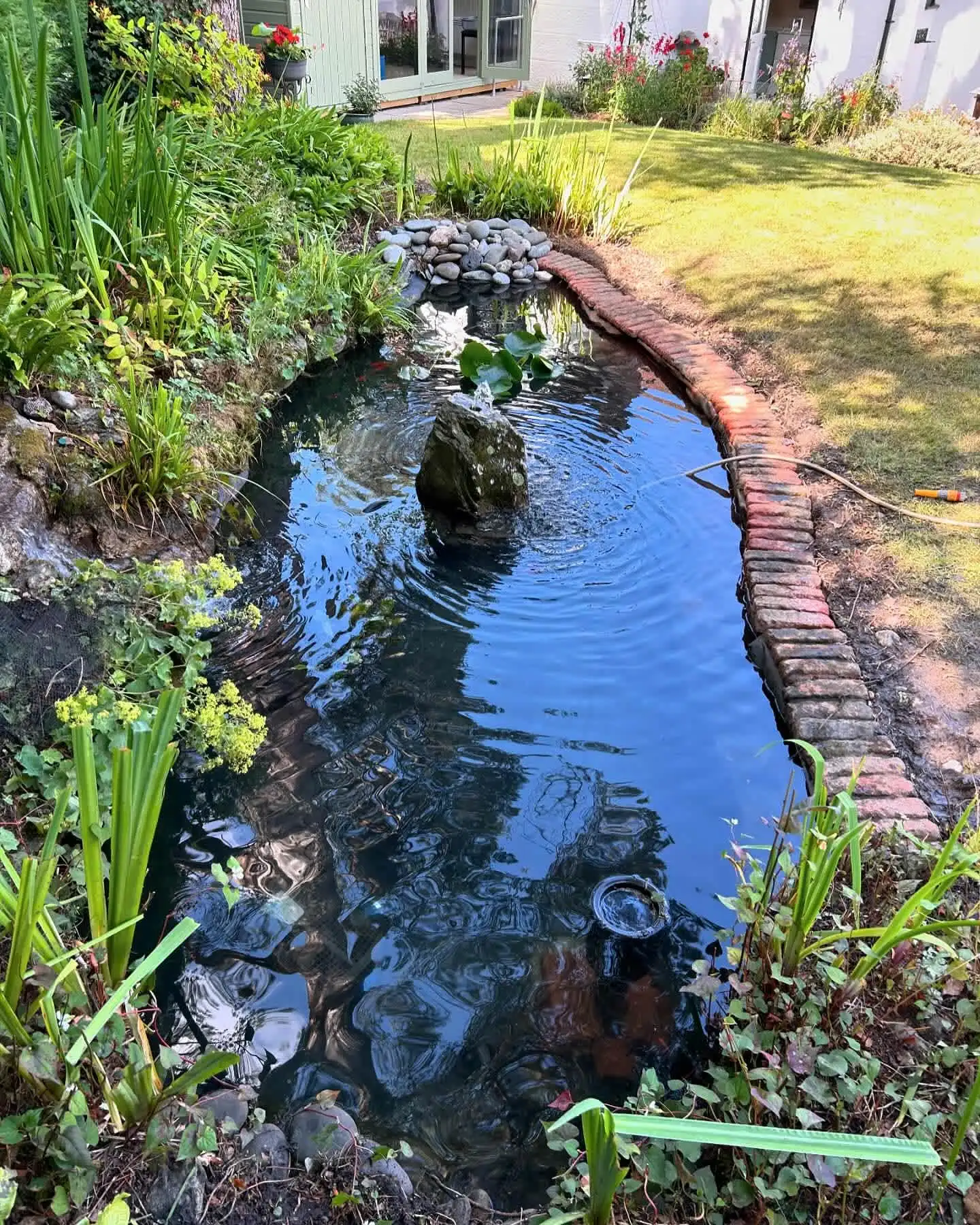 Images SJH Ponds & Aquariums
