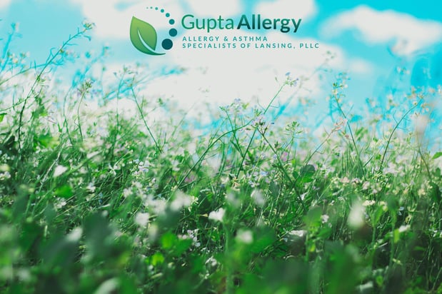 Images Gupta Allergy: Allergy & Asthma Specialists of Lansing, PLLC