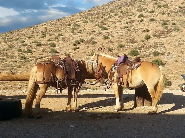 Images Above All Las Vegas ATV Tours & Watercraft Rentals