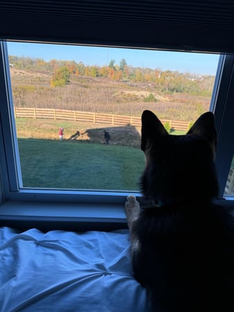 Images Marjorie Schaeffer - State Farm Insurance Agent