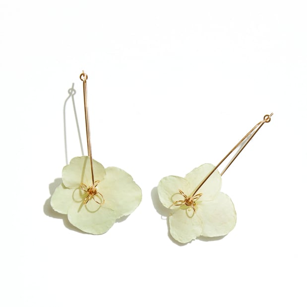 Images Hillary Jackson Designs