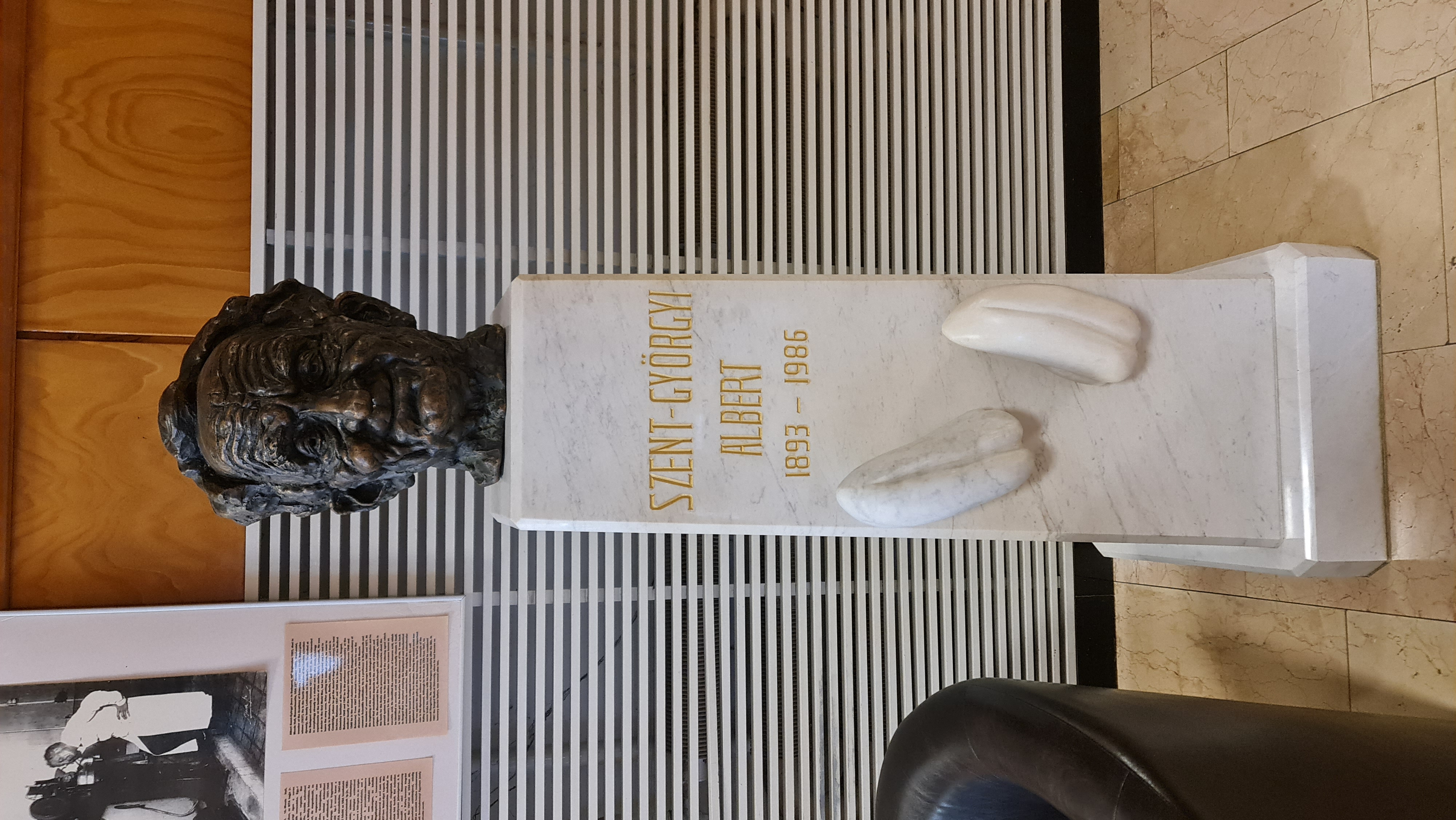 Images Árpád Biokontroll 2003 Kft.