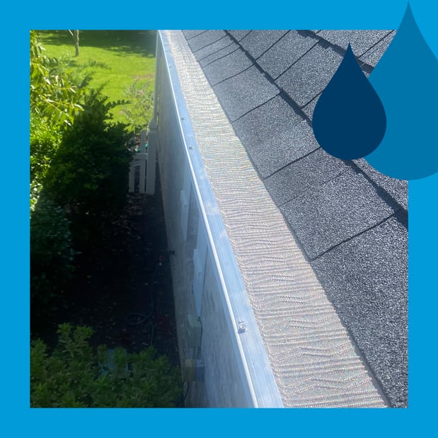 Images Window Hero Charlotte