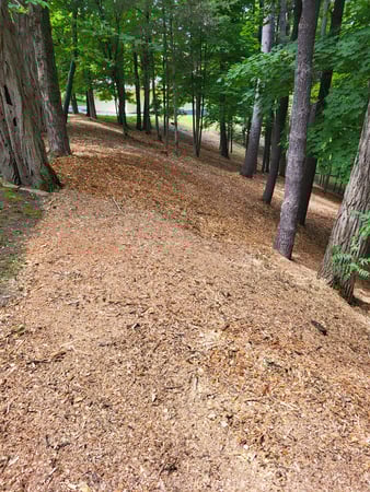 Images MATTHEW LANDSCAPING