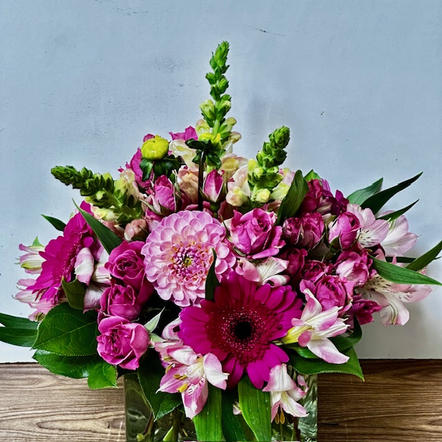 Images Jane's Roses & Flowers