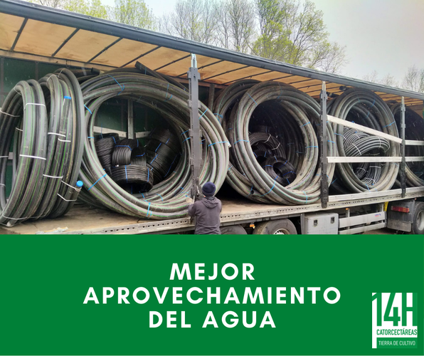 Images Catorcectáreas