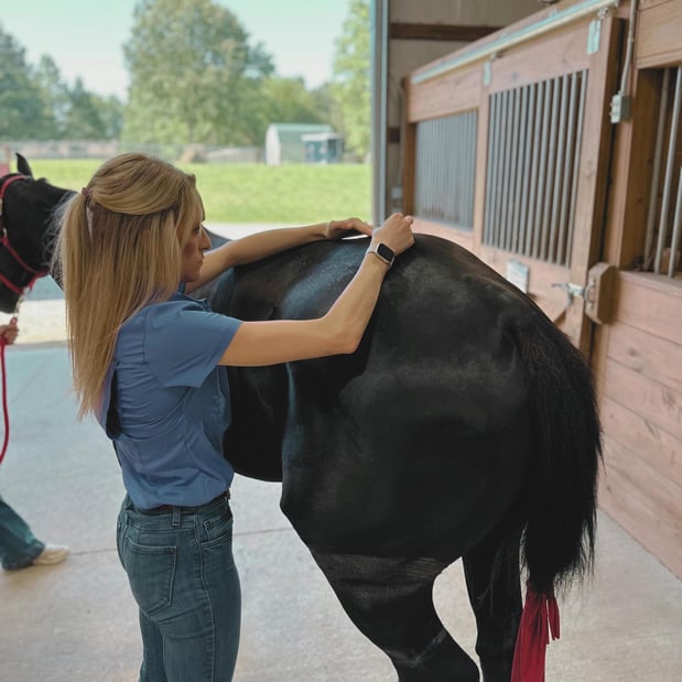 Images FULL CIRCLE EQUINE VETERINARY SERVICES