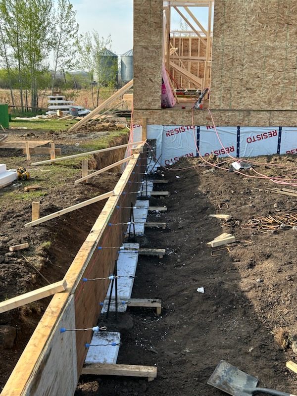 Images The Blue Spruce Builder
