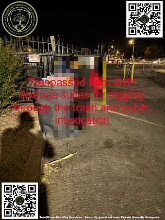 Images TreeStone Security Services