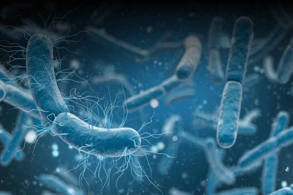 Verein zur Bekämpfung chronischer Infektionskrankheiten e.V., In der Holl 3 in Ebernhahn