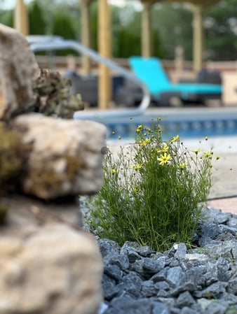 Images VanBeck Stocker's Landscaping and Lawn Care