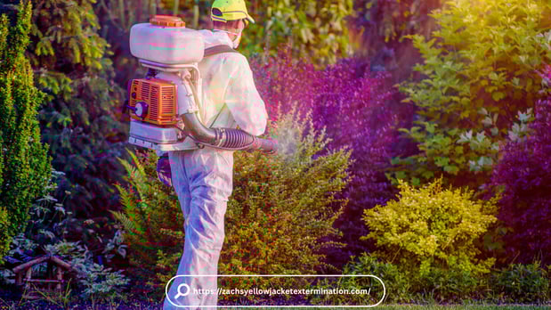 Images Pest Control Washington