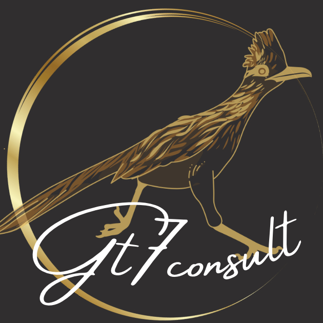 Gt7consult