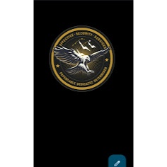 Effective Security Services Logo