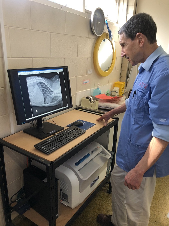 Images Glenvale Veterinary Clinic