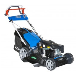 Bilder Python & fils