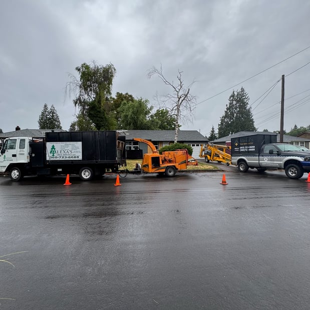 Images Alexa's Tree Service