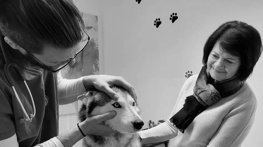 Bilder Tierarztpraxis Schönbacher