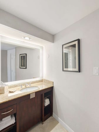 Images Hilton Chicago/Oak Lawn