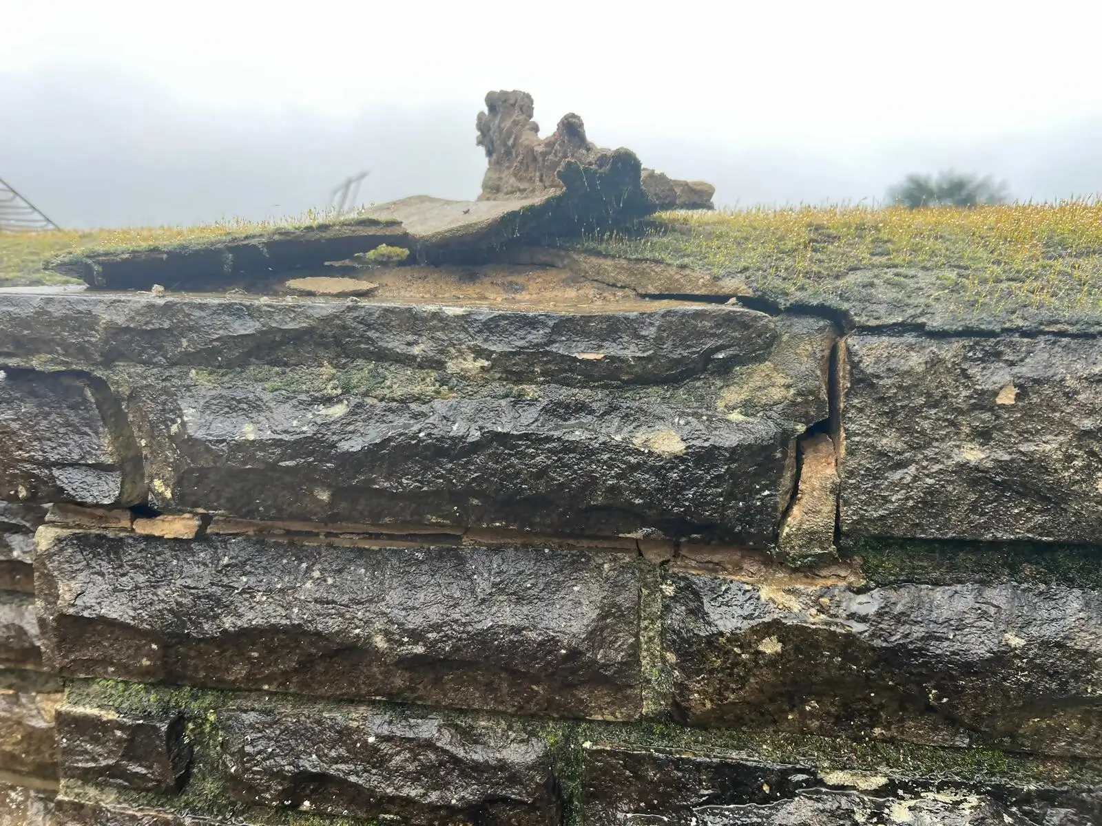 Images Exclusive Property Care