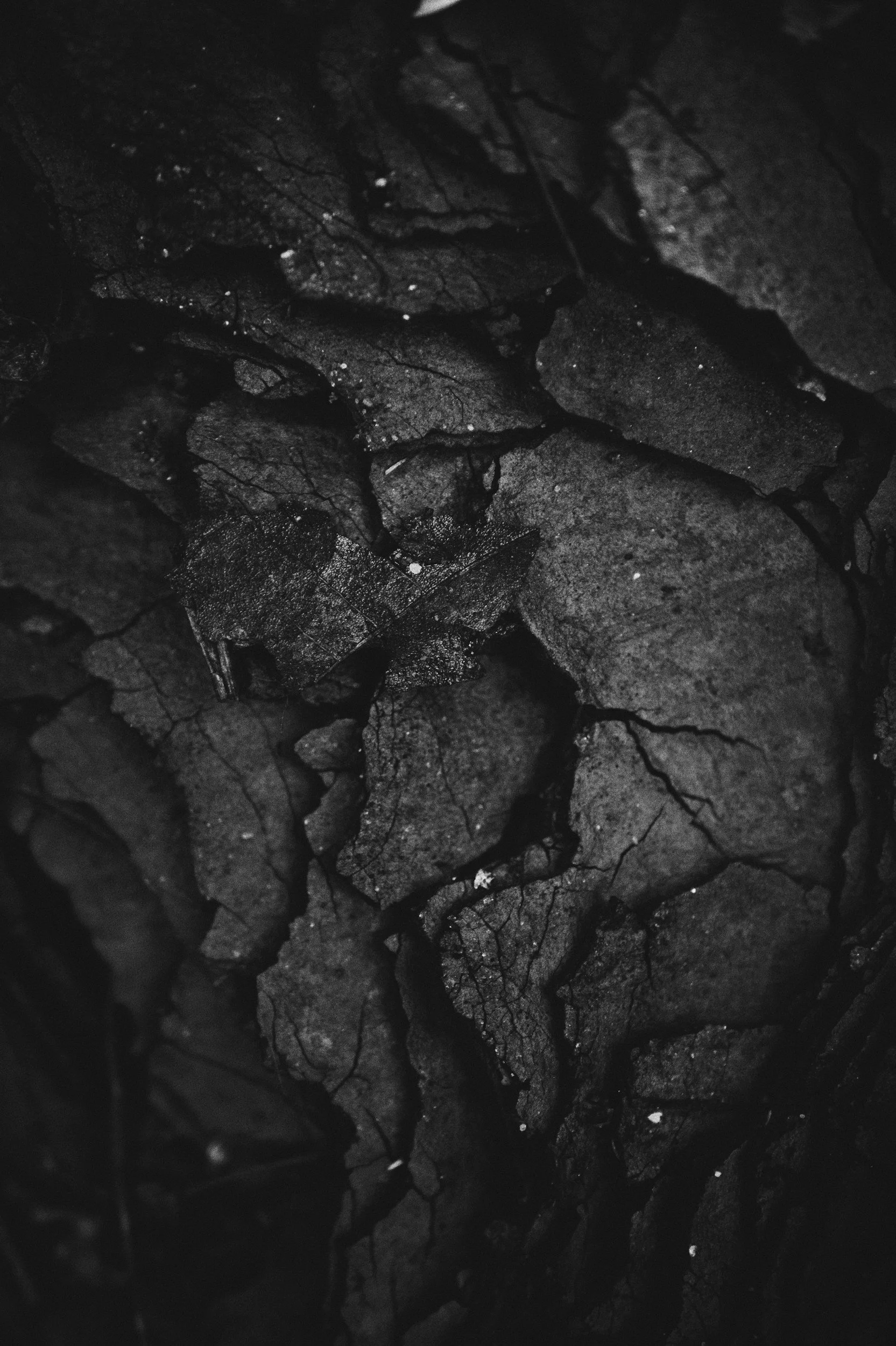 A close-up, high-contrast, black and white macro photograph of cracked, textured earth or rock, possibly charcoal, with a rough, uneven surface and deep fissures.