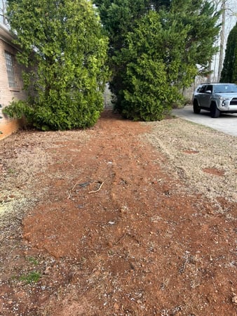 Images Woods Landscaping And Dirt Work