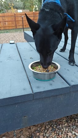 Images Koda King Natural Dog Food
