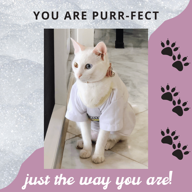 Images Laguna Pet Care Center