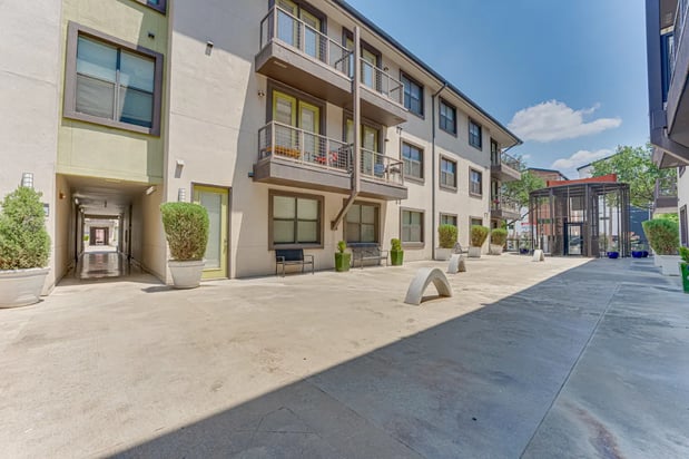 Images Vue Live Oak