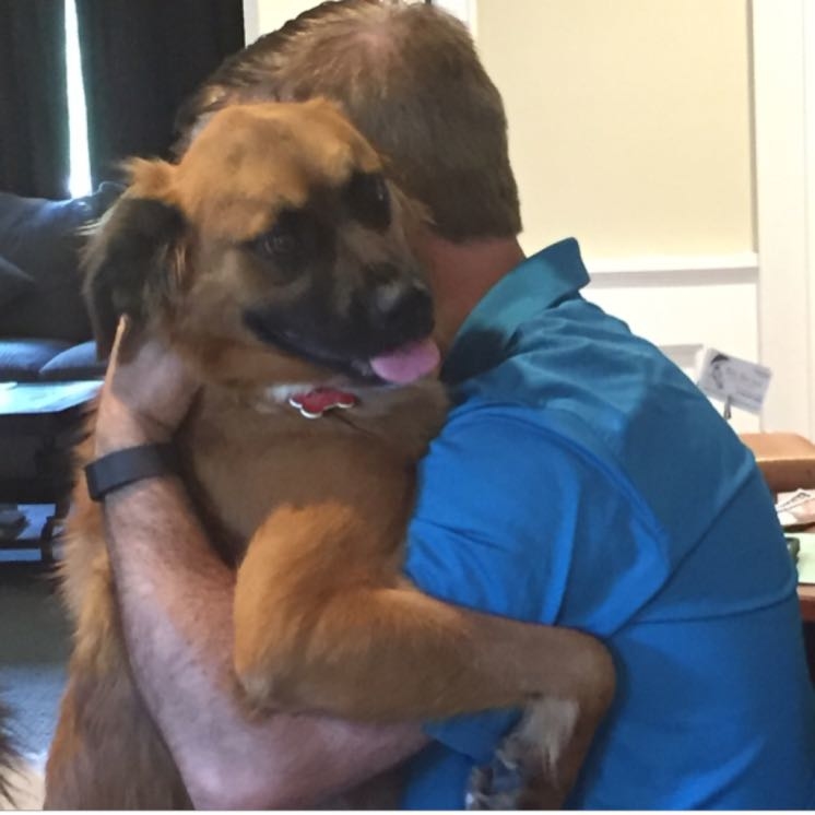 No formal paw-shake for Hadlee! This lovable girl prefers hugs!  streefreeboarding  PAIpets