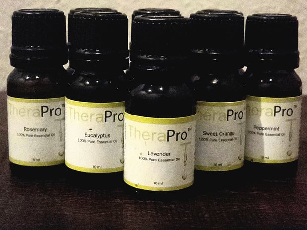 Images Wise Wolf Therapy