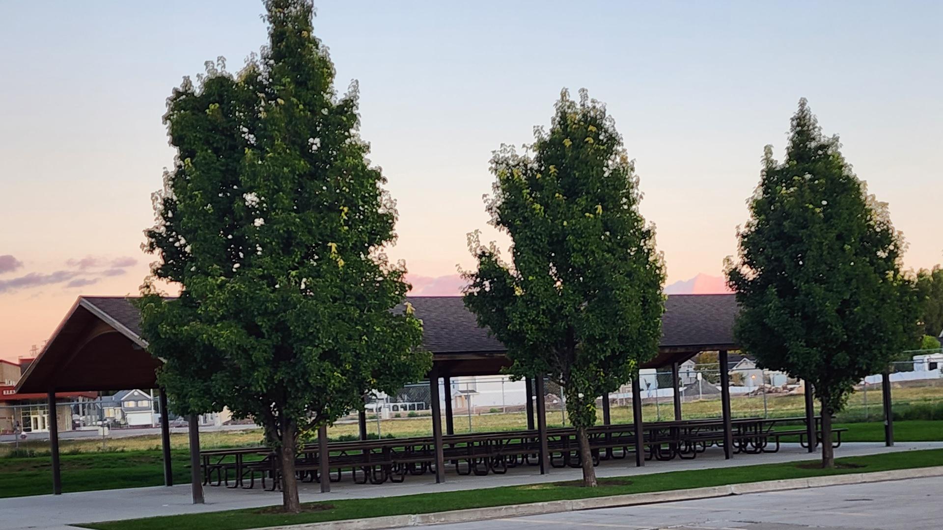 The Church of Jesus Christ of Latter-day Saints Image