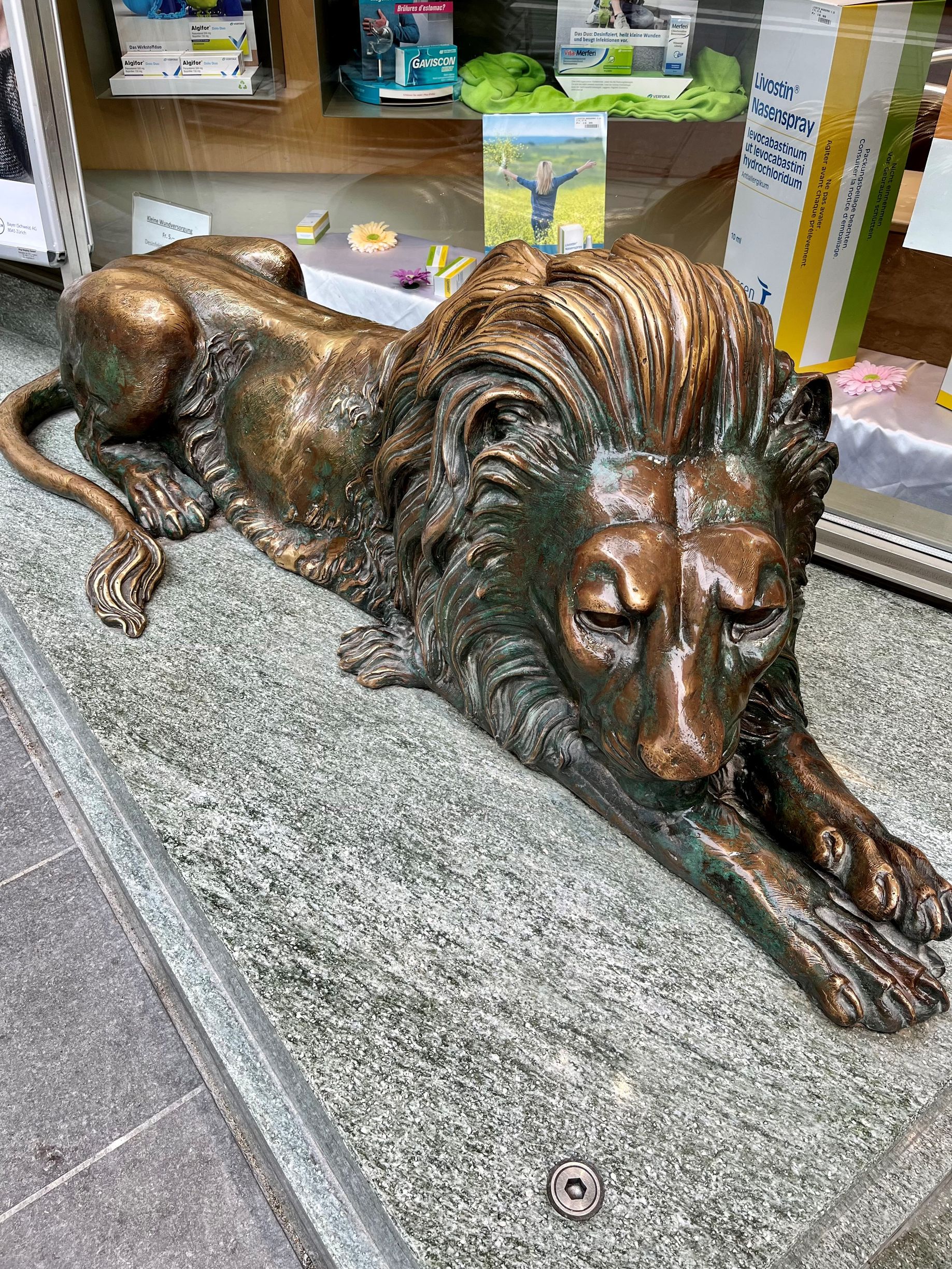 Löwen Apotheke, Greifengasse 14 in Basel