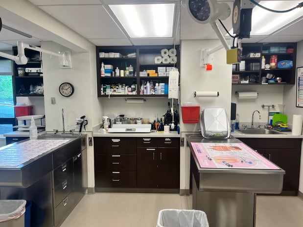 Images VCA Castle Shannon Animal Hospital