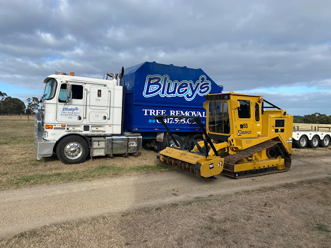 Images Blueys Tree Removals Pty Ltd